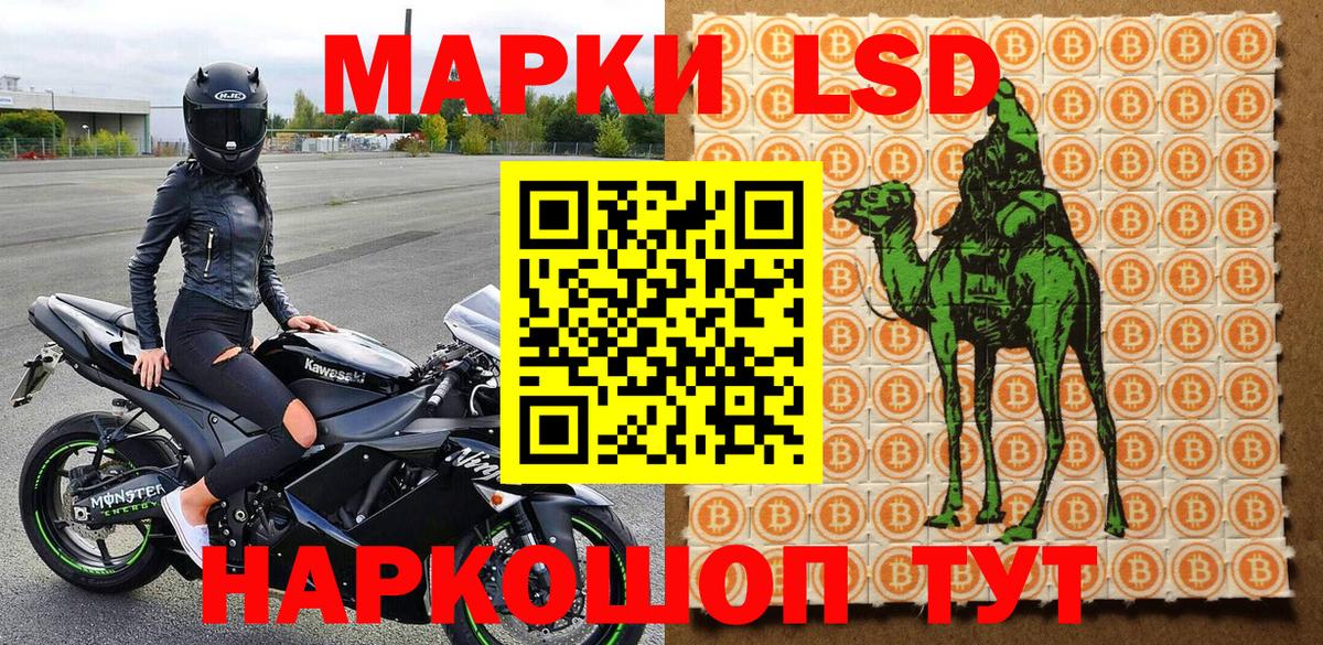Наркотические марки 1,5мг  Наркотические марки 1,5мг  Алапаевск  Вход с VPN 